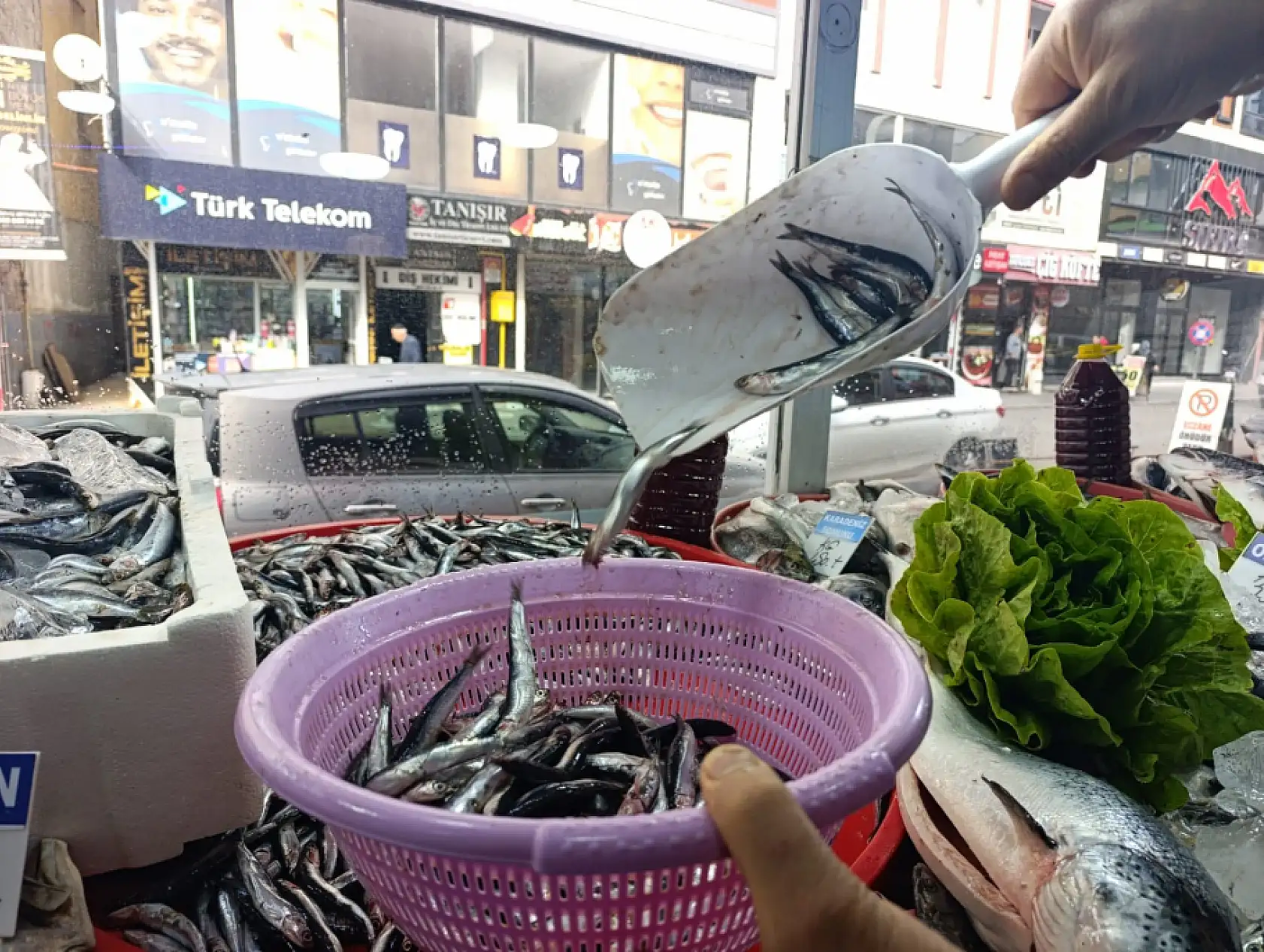 Ağrı'da balık sezonu açıldı! Tezgâhlarda hareketlilik başladı