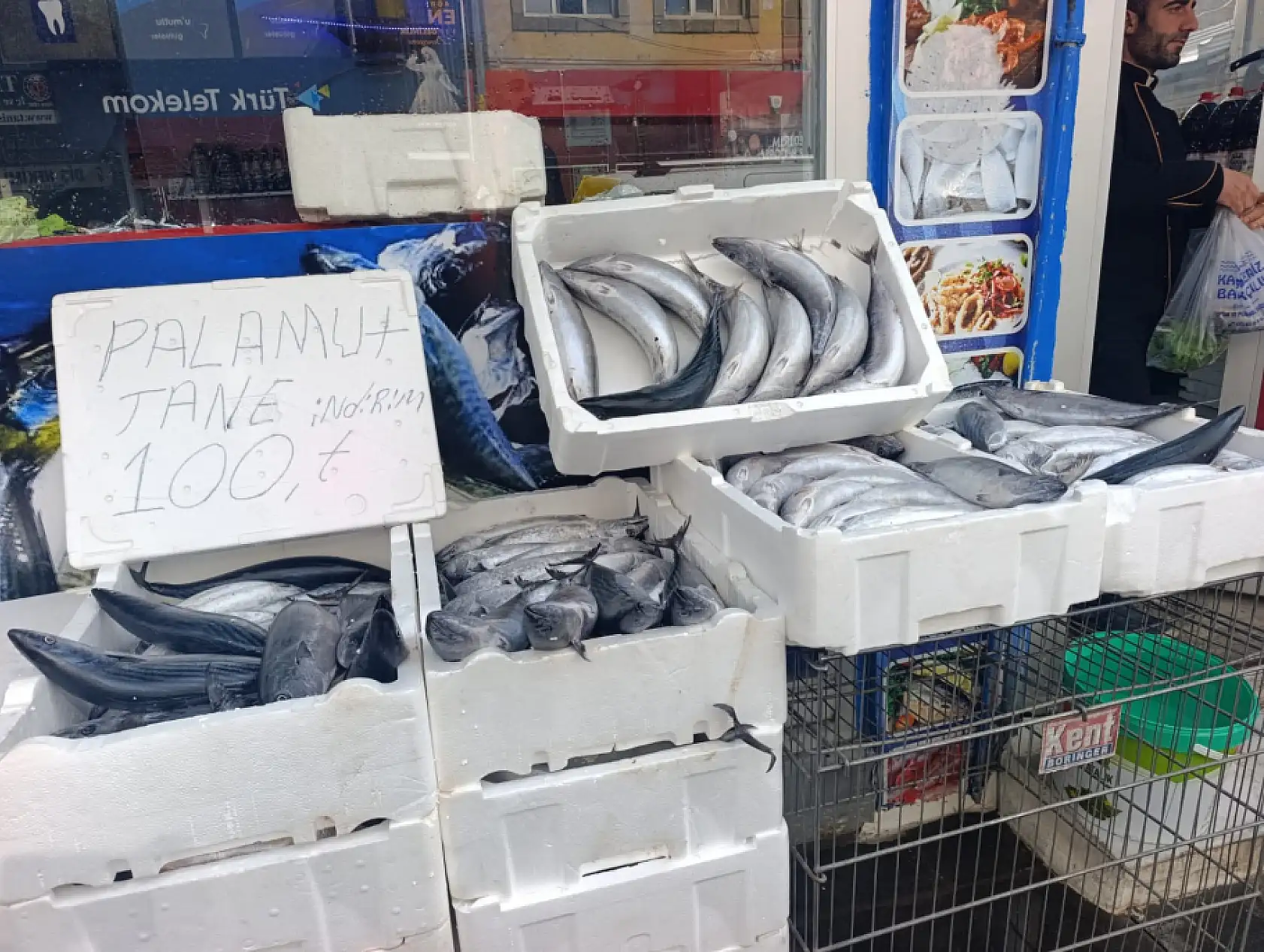 Ağrı'da balık sezonu açıldı! Tezgâhlarda hareketlilik başladı