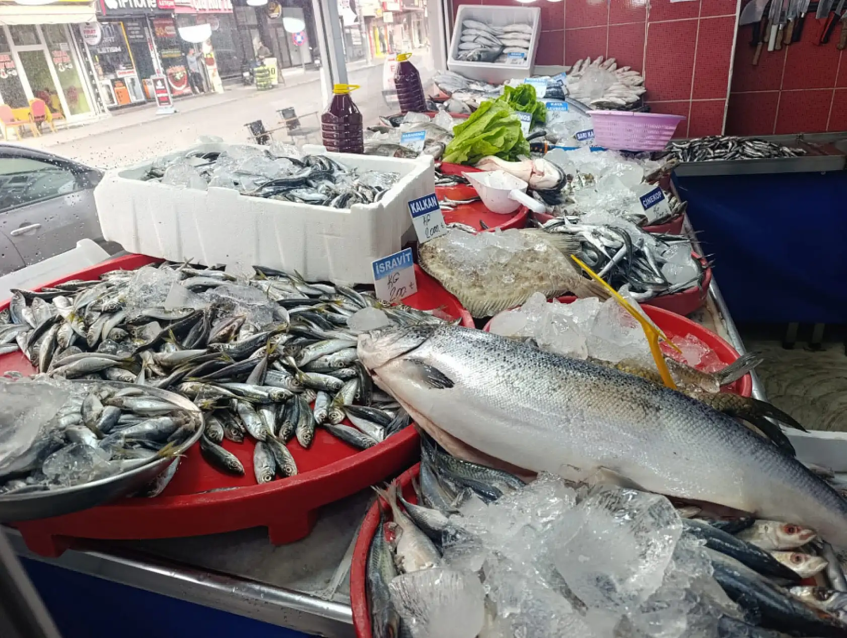 Ağrı'da balık sezonu açıldı! Tezgâhlarda hareketlilik başladı