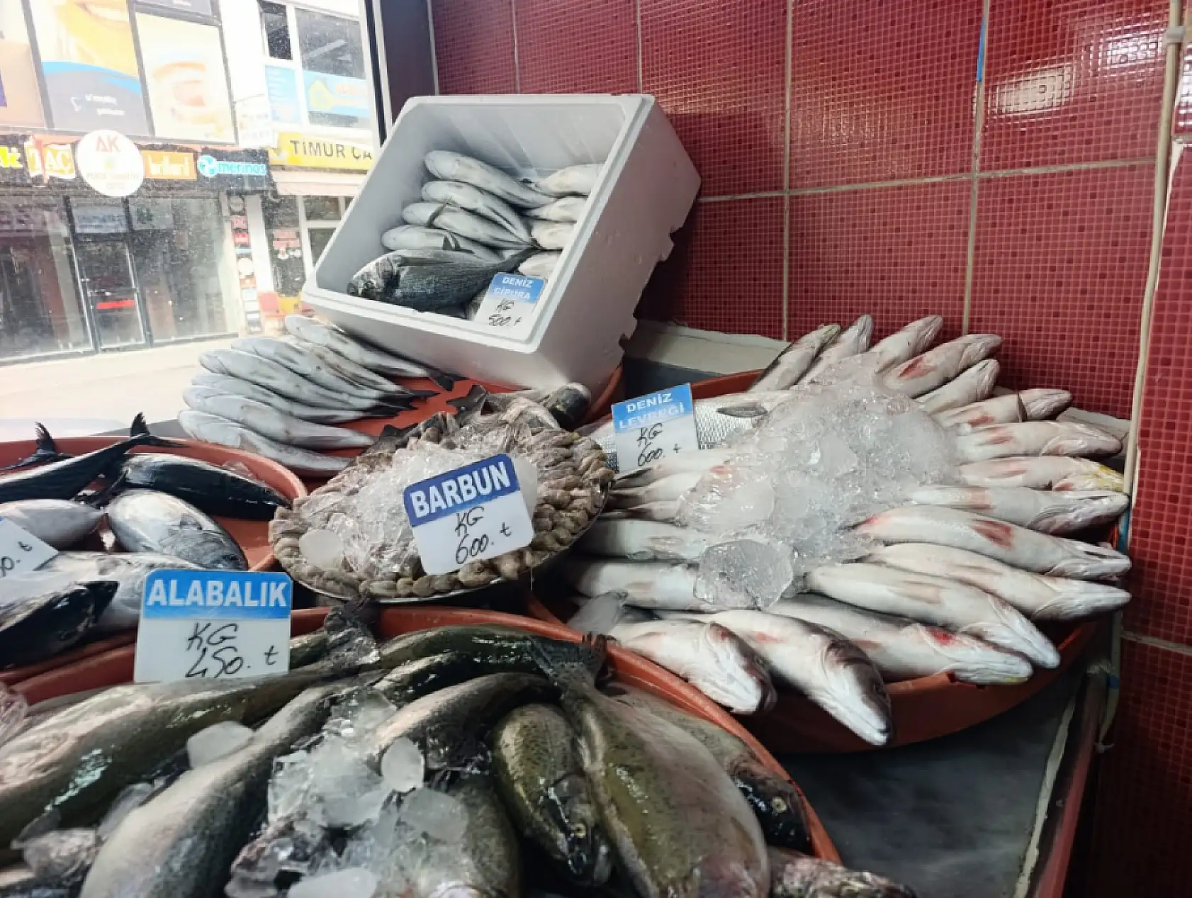 Ağrı'da balık sezonu açıldı! Tezgâhlarda hareketlilik başladı