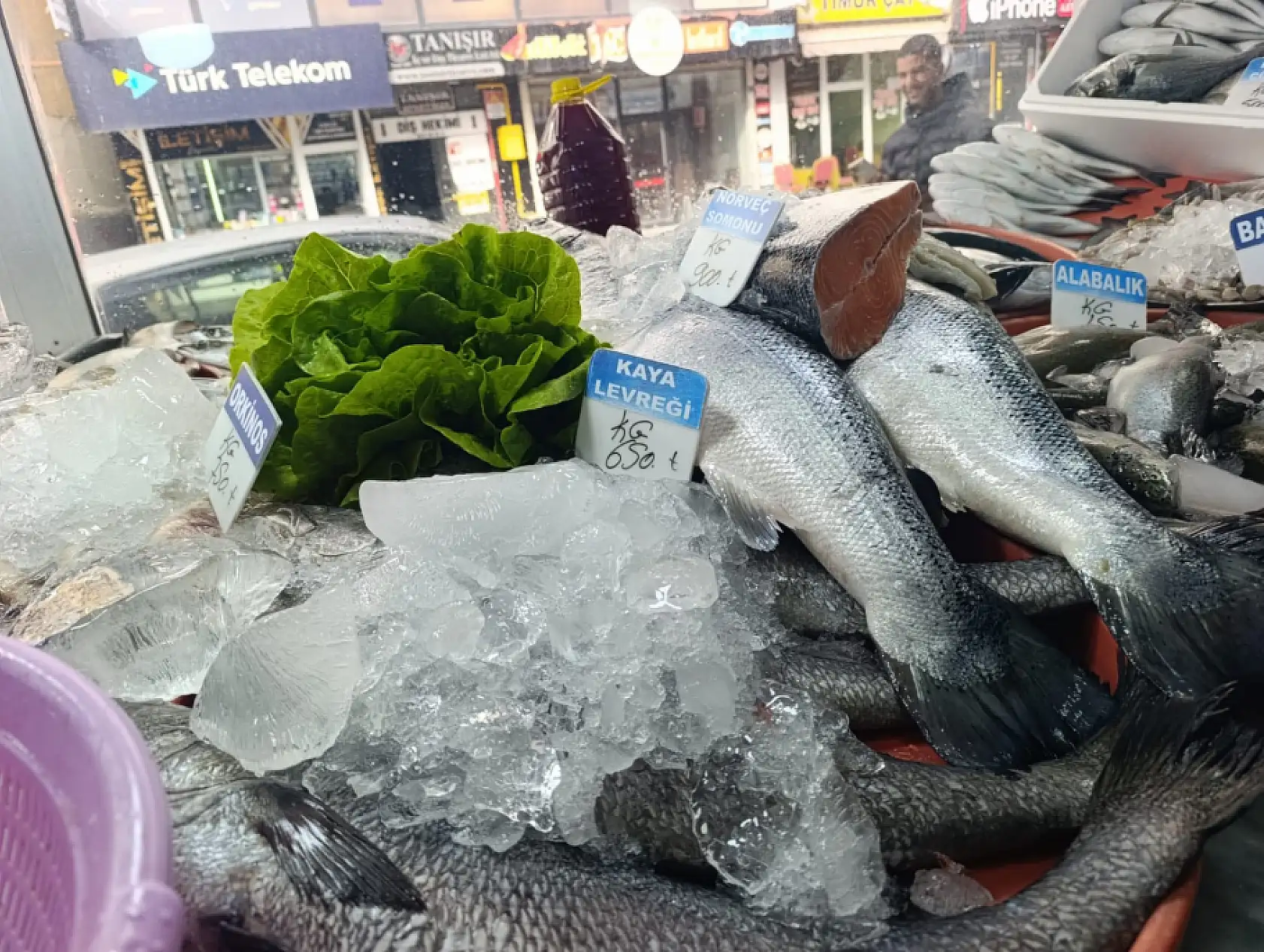 Ağrı'da balık sezonu açıldı! Tezgâhlarda hareketlilik başladı
