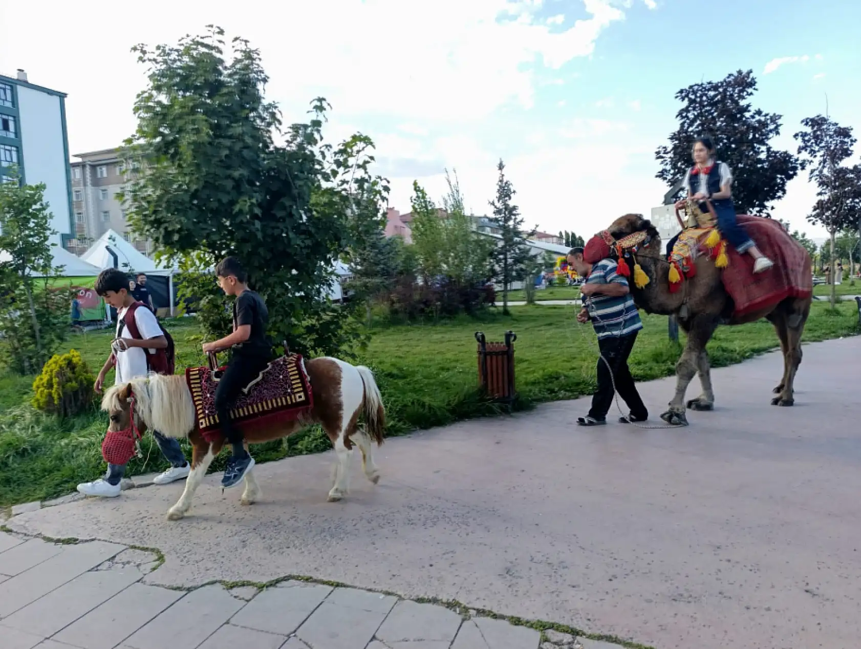 Ağrı'da gören bir daha baktı! Millet Bahçesi'ne deve geldi