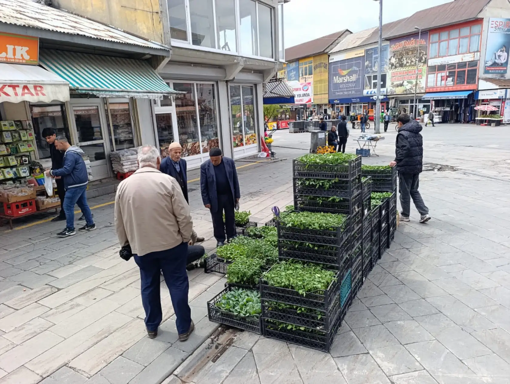 Ağrı'da fide sezonu başladı: vatandaşlar bahçeler için tezgâhlara akın etti