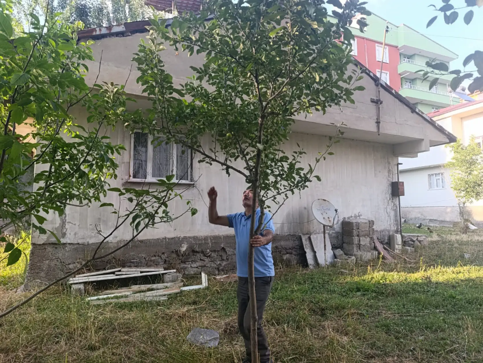 Emekliliğini bahçesinde üretime dönüştürdü
