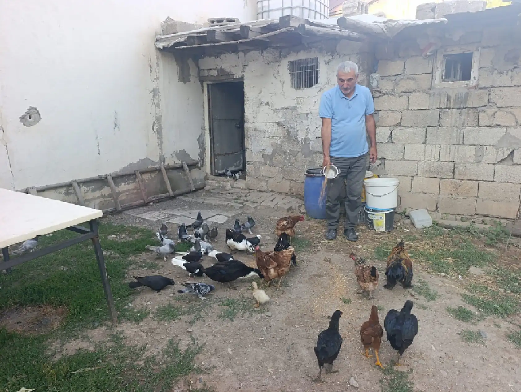 Emekliliğini bahçesinde üretime dönüştürdü