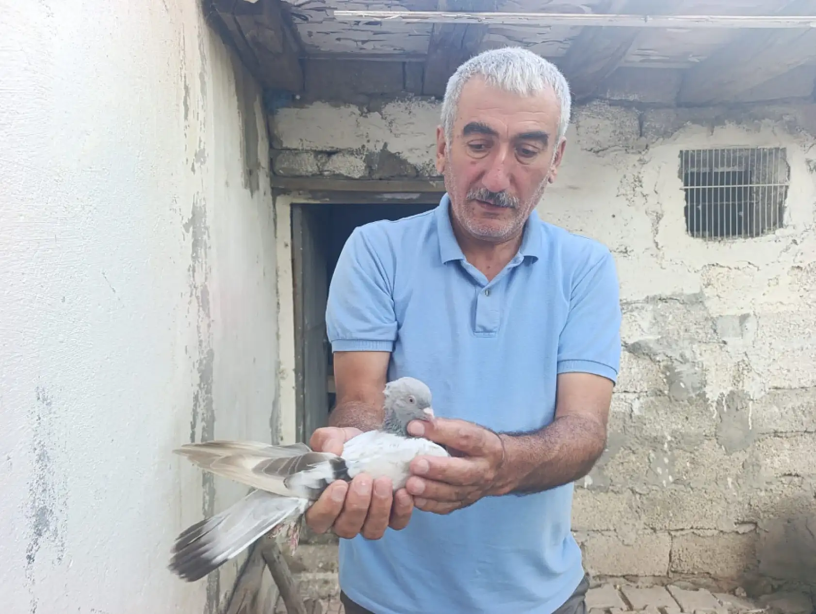 Emekliliğini bahçesinde üretime dönüştürdü
