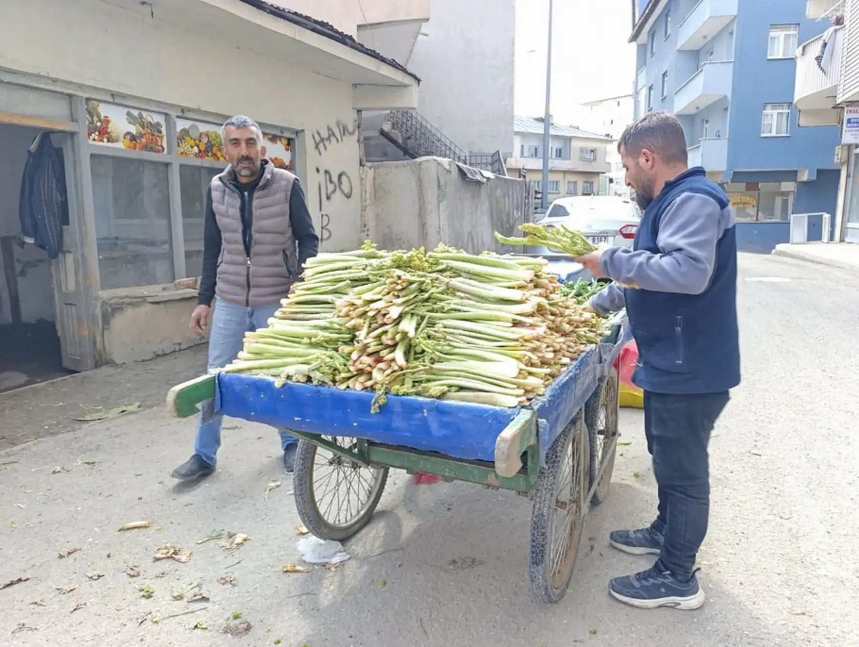 Ağrı'da uçkun tezgâhlarda yerini aldı, fiyatı cep yakıyor