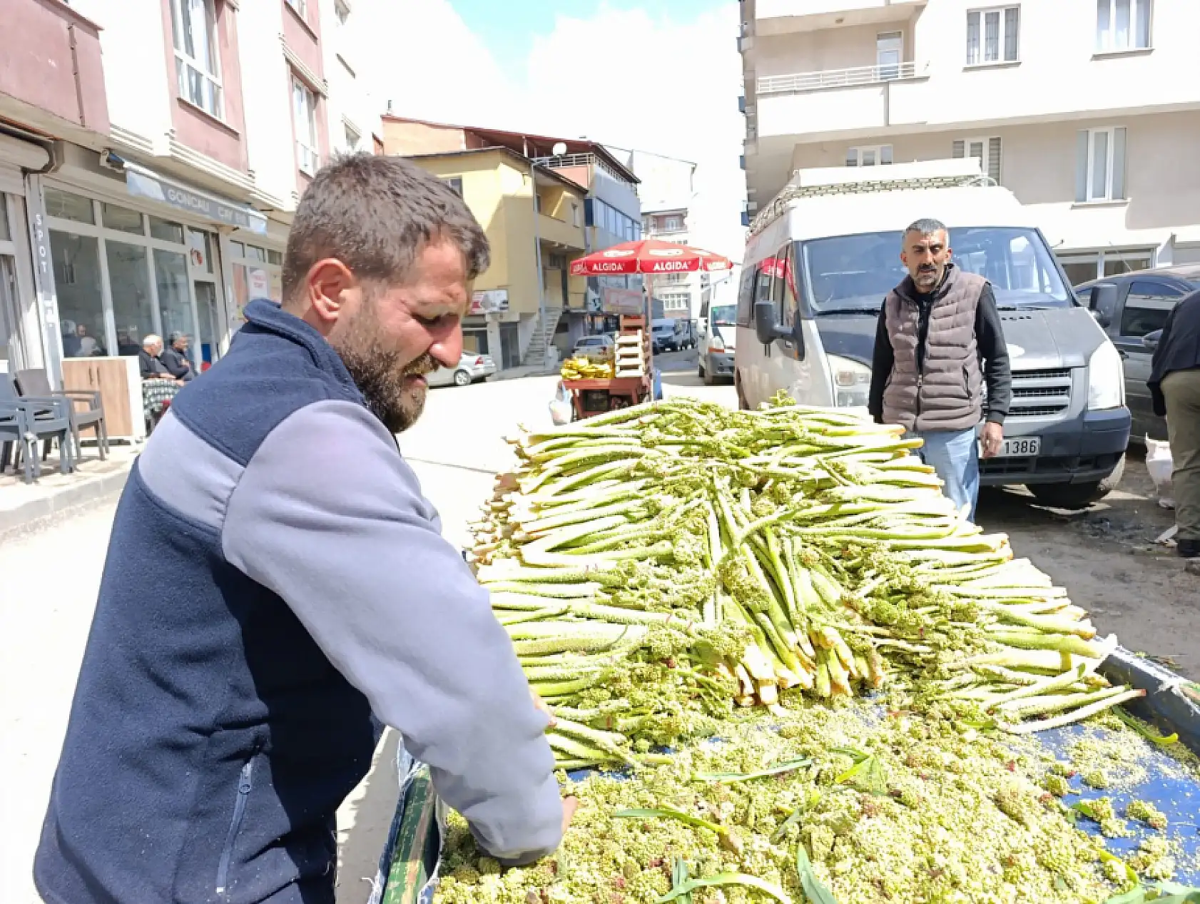 Ağrı'da uçkun tezgâhlarda yerini aldı, fiyatı cep yakıyor