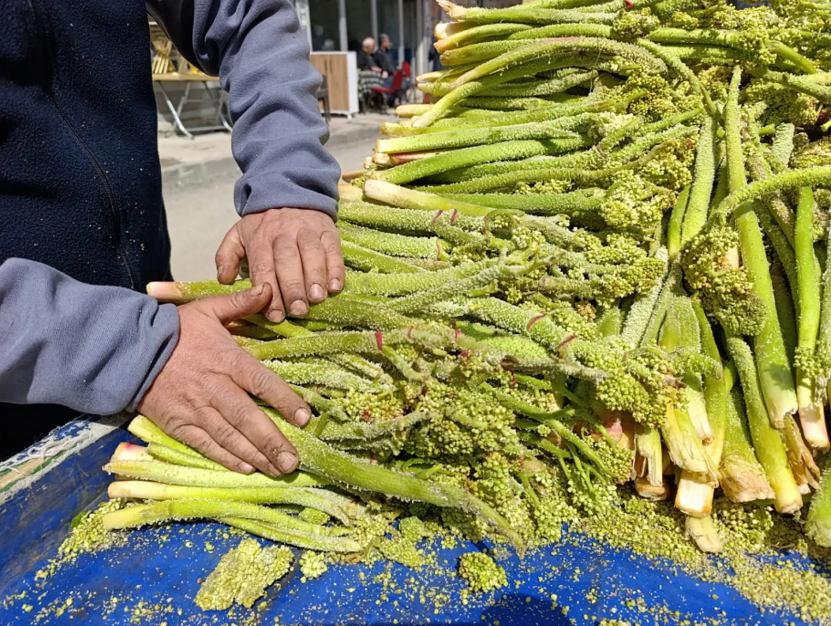 Ağrı'da uçkun tezgâhlarda yerini aldı, fiyatı cep yakıyor