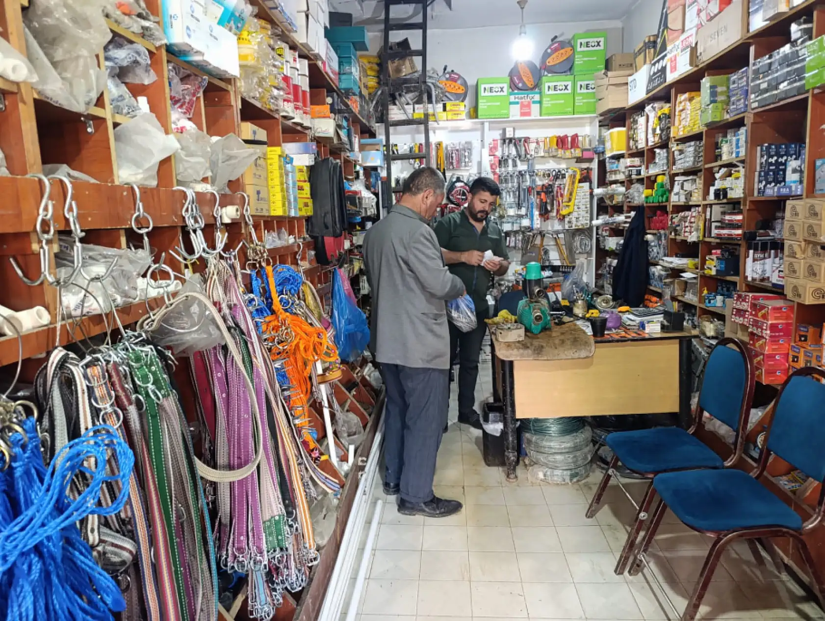 Ağrı'da Kurtlara karşı çivili önlem! Yaylacılar çoban köpeklerini böyle koruyor