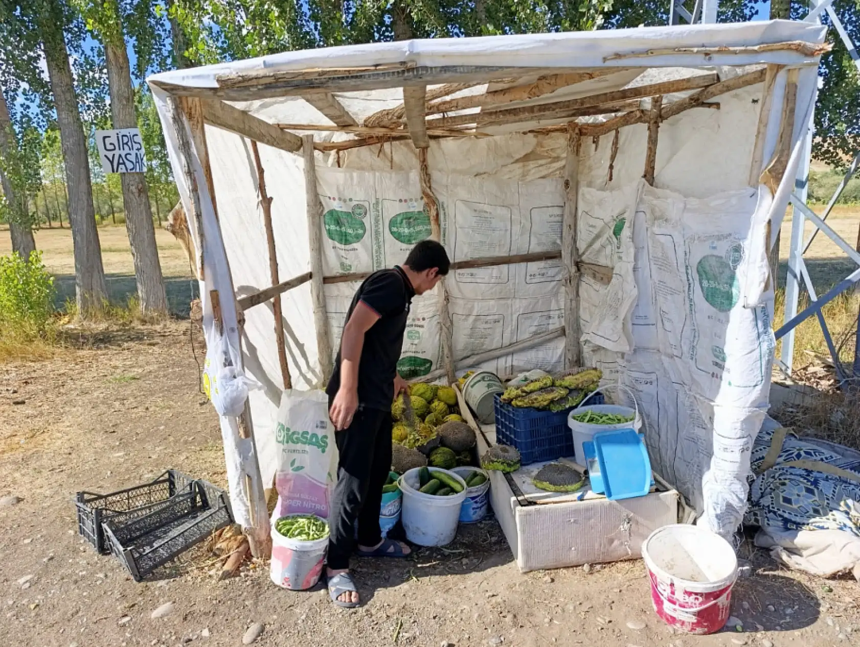 Ağrı'da bostan ürünleri vatandaşla buluştu