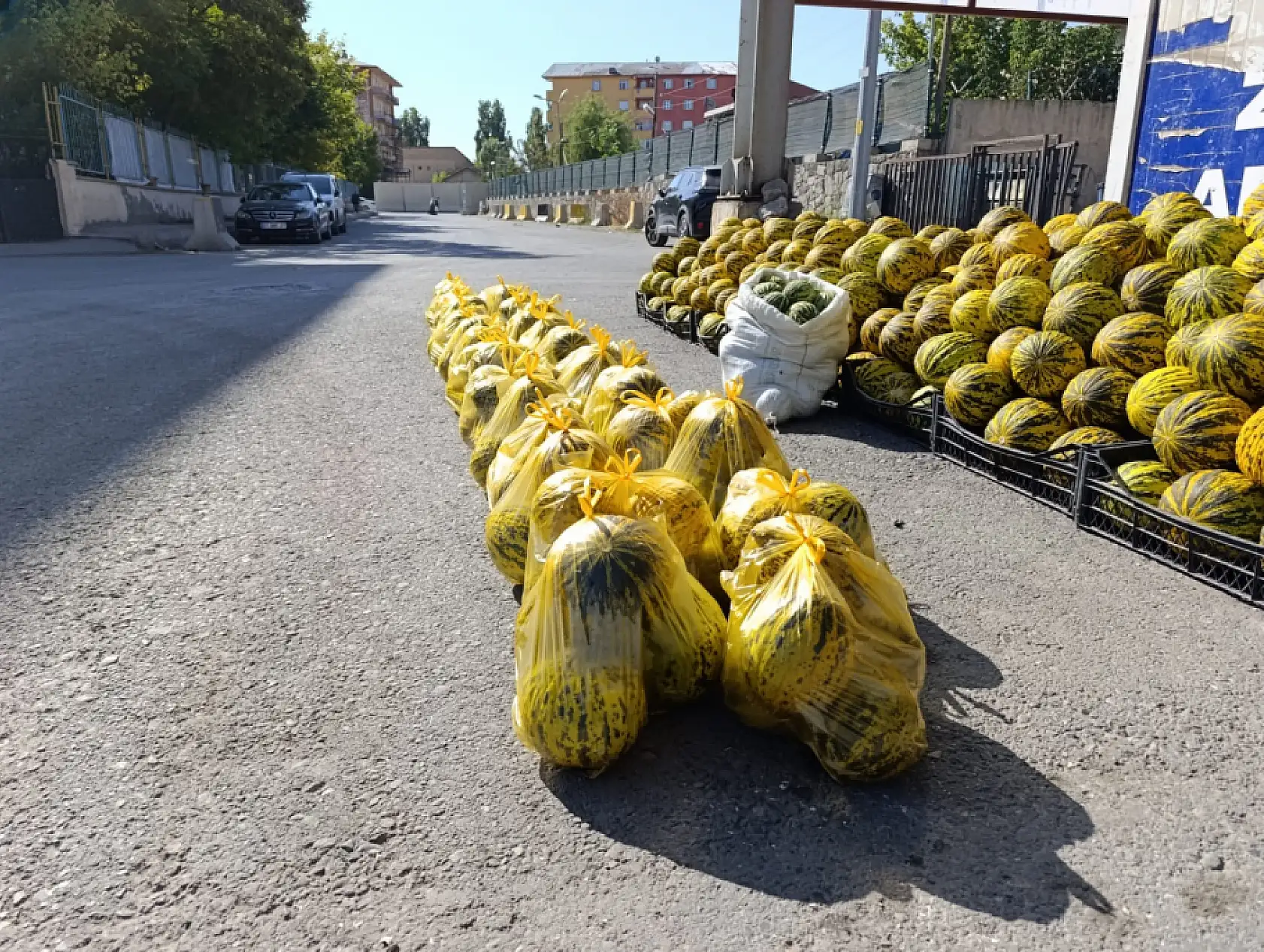 Ağrı Meydanı'nda sabahın bereketi kavun tezgâhında başladı