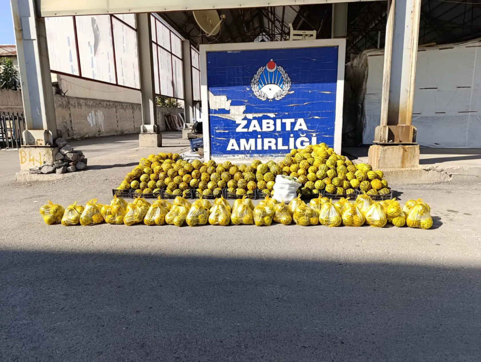 Ağrı Meydanı'nda sabahın bereketi kavun tezgâhında başladı