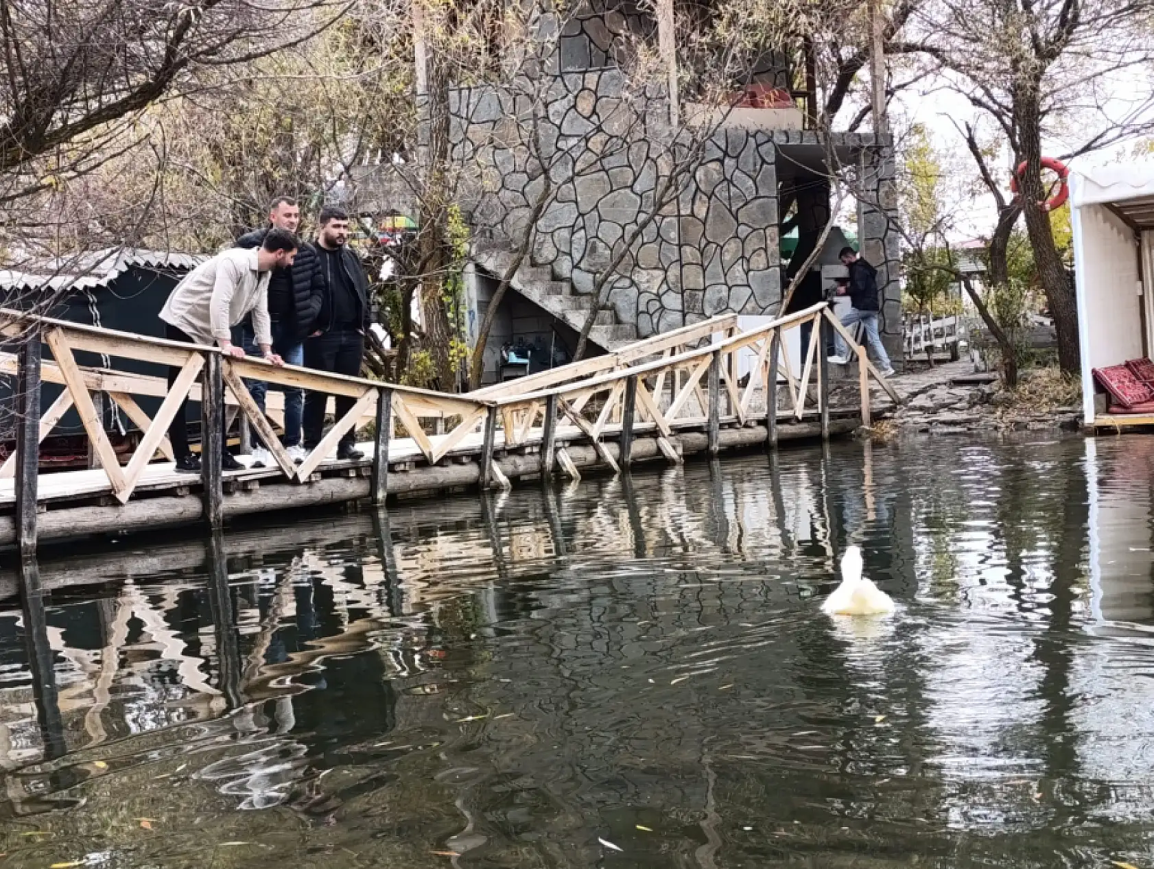 Ağrı'da sonbahar havası, nehir üstünde ördeklerle renklendi
