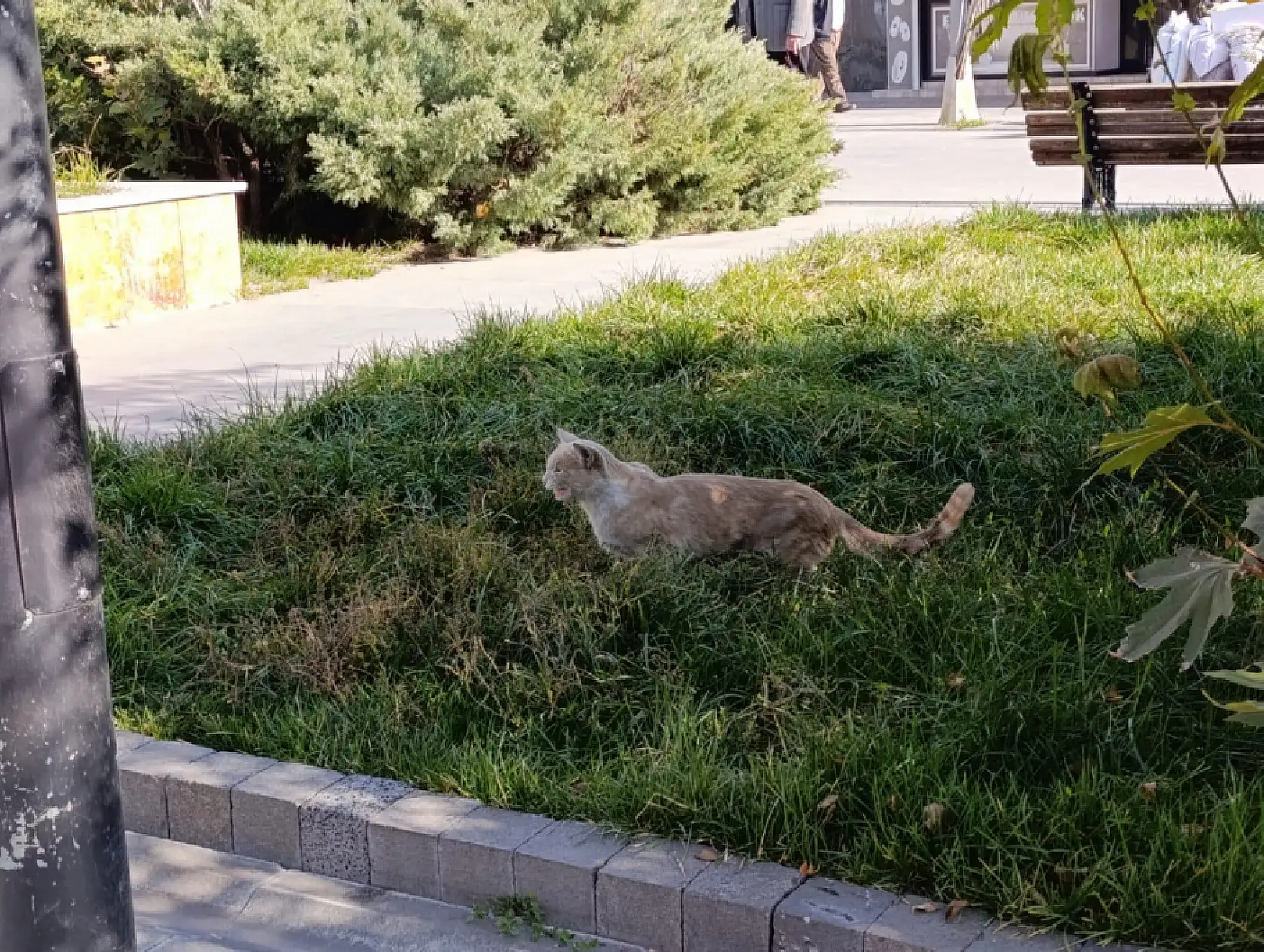 Ağrı'da kış gelmeden önceki son güneşli gün böyle geçti