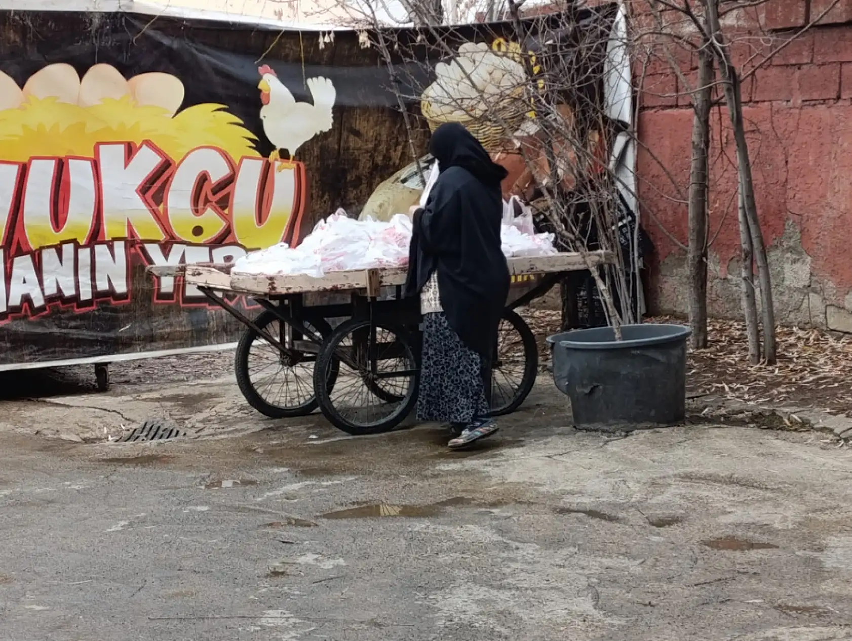 Ağrı'da her Cuma 250 aileye ücretsiz tavuk dağıtımı devam ediyor