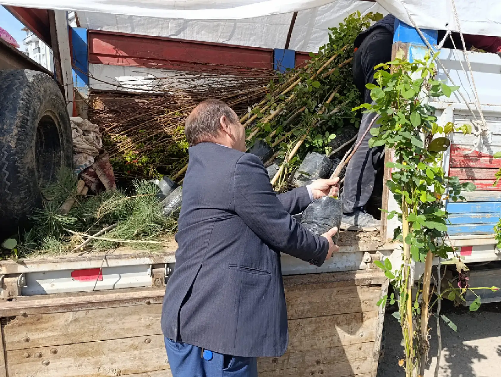 Karslı üretici Ağrı'da meyve ağaçlarını alıcıyla buluşturuyor