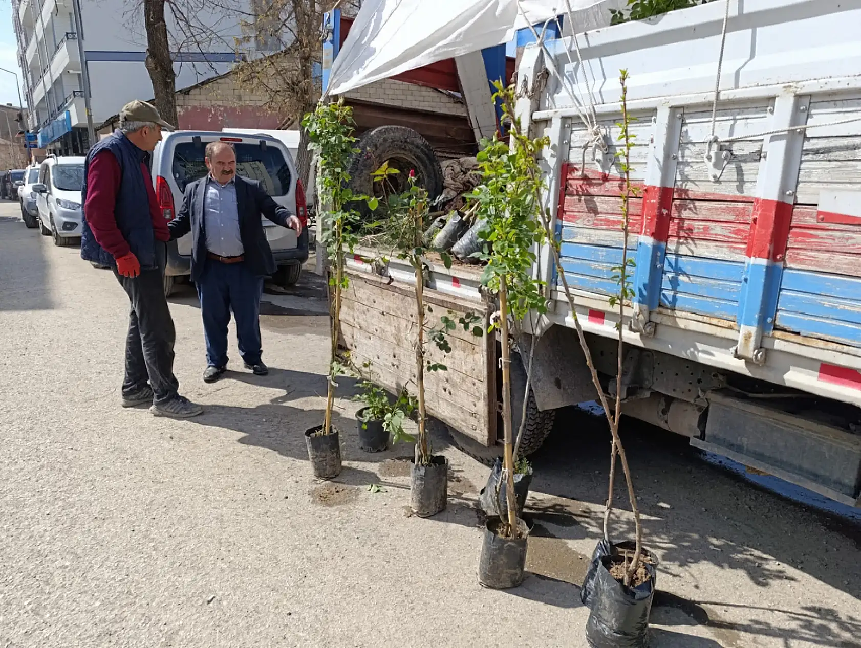 Karslı üretici Ağrı'da meyve ağaçlarını alıcıyla buluşturuyor