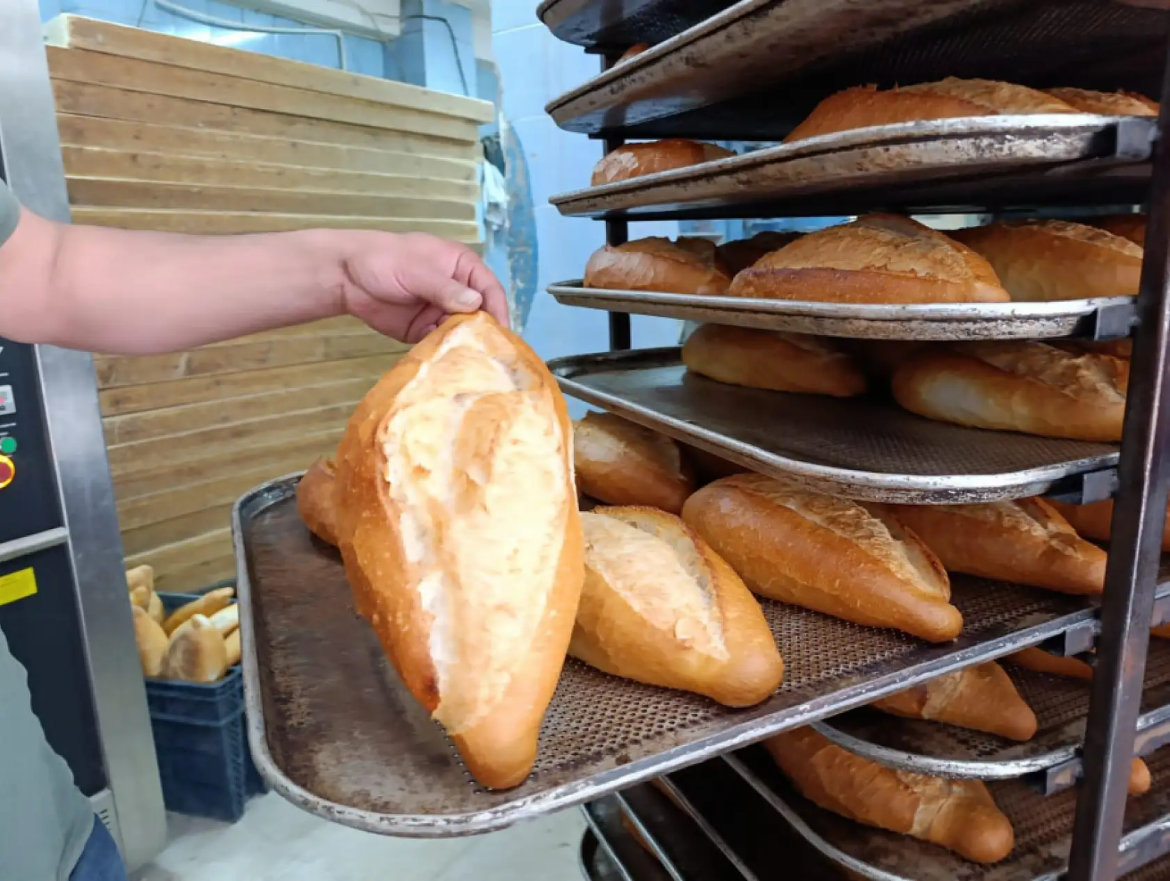 Ekmek için yeni rota: Ağrı'da satışlar yalnızca fırınlardan