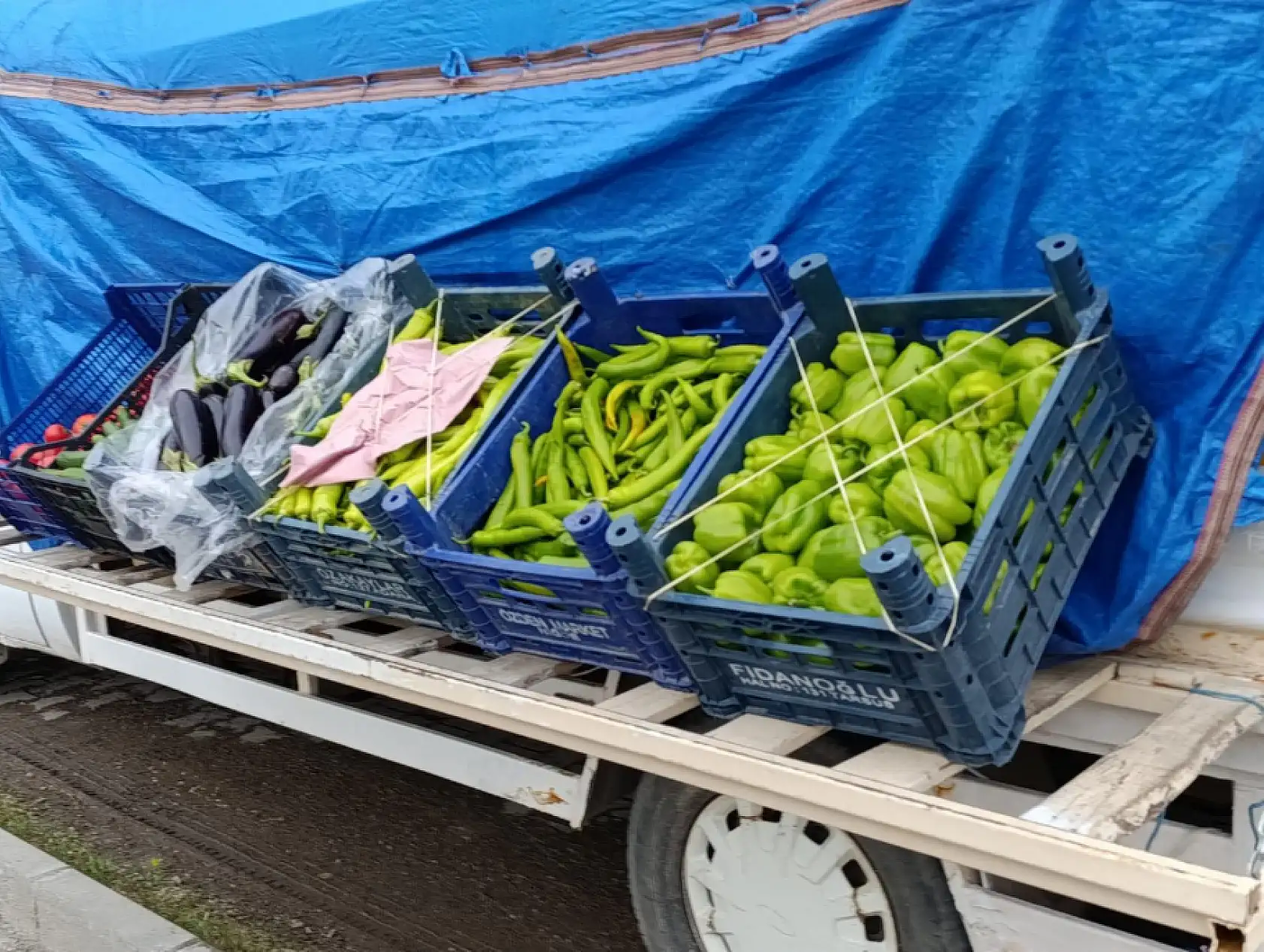 Manav tezgâhı artık sokakta: Ağrı'da kapı önünde taze meyve dönemi
