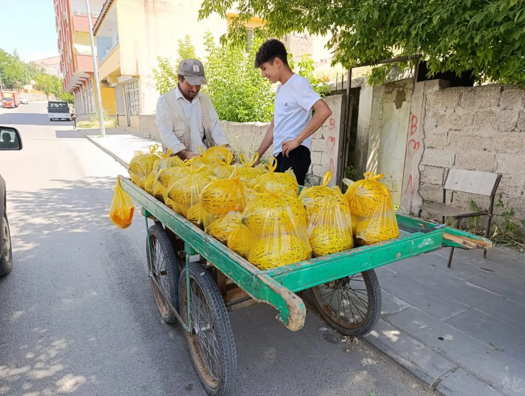 Ağrılı genç yaz tatilinde kavun satarak harçlığını kazanıyor