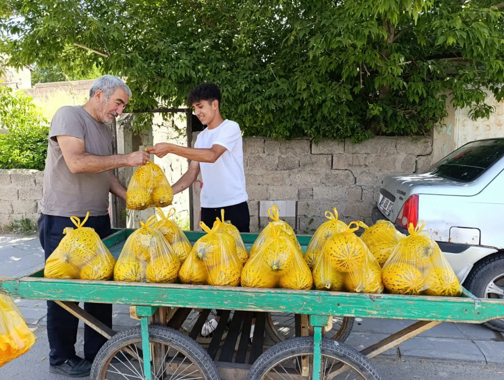 Ağrılı genç yaz tatilinde kavun satarak harçlığını kazanıyor