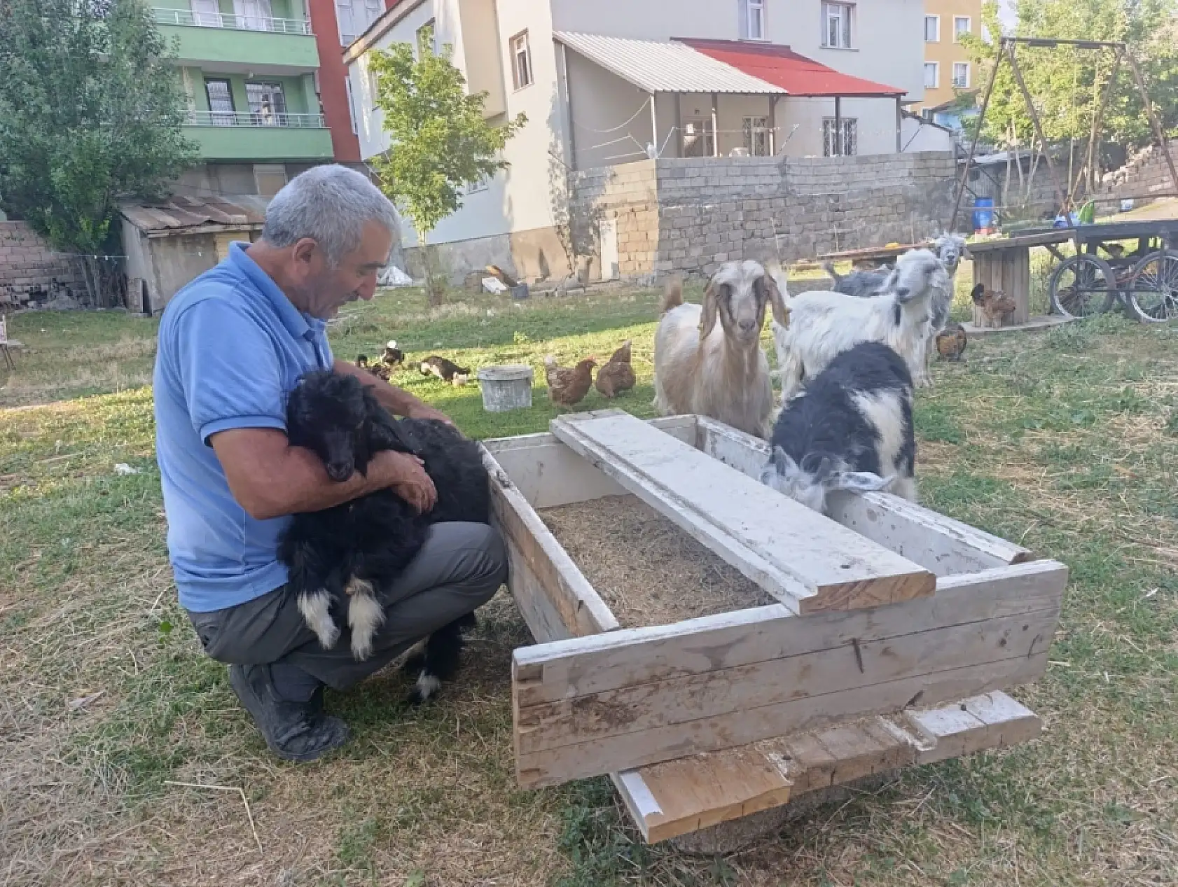Ağrı'da bahçesini yılanlar basan emekli memur sorunu keçi ve tavuklarla çözdü