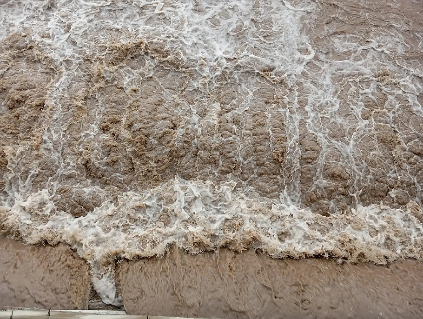 Ağrı'da Murat Nehri taştı tarım alanları suya teslim oldu