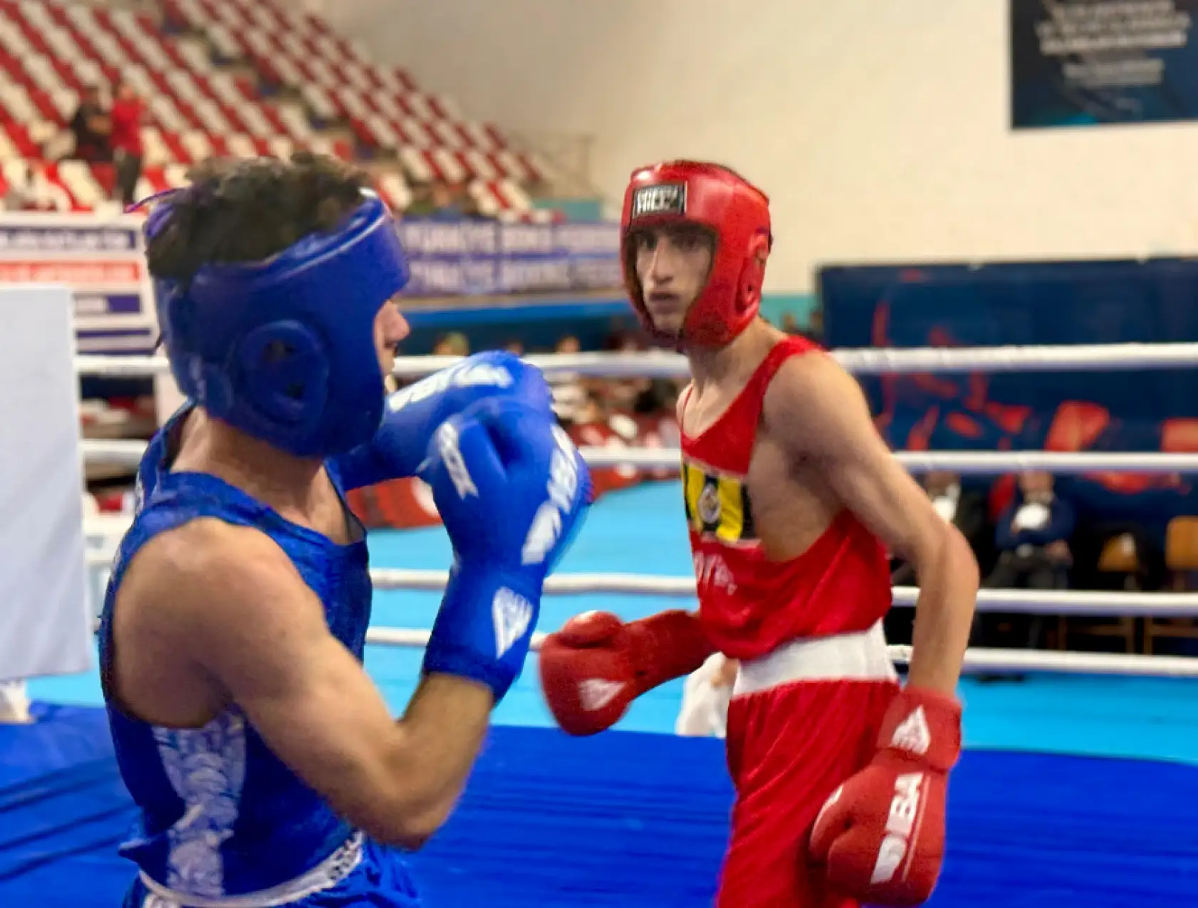 Türkiye'nin genç altın yumrukları Ağrı'da ringe çıktı