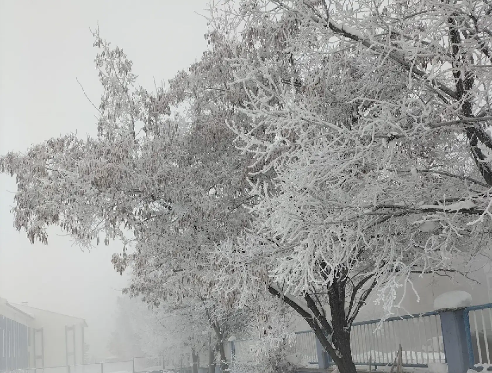 Ağrı'da kışın sert yüzü: Buzlanma ve sis, kentte zorluklar yaşatıyor