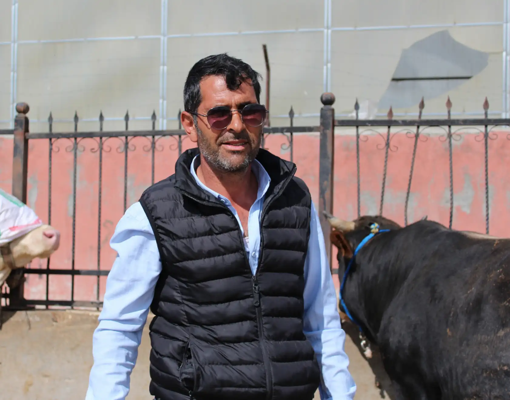 Ağrı kurban pazarında ikinci gün hareketliliği yaşandı