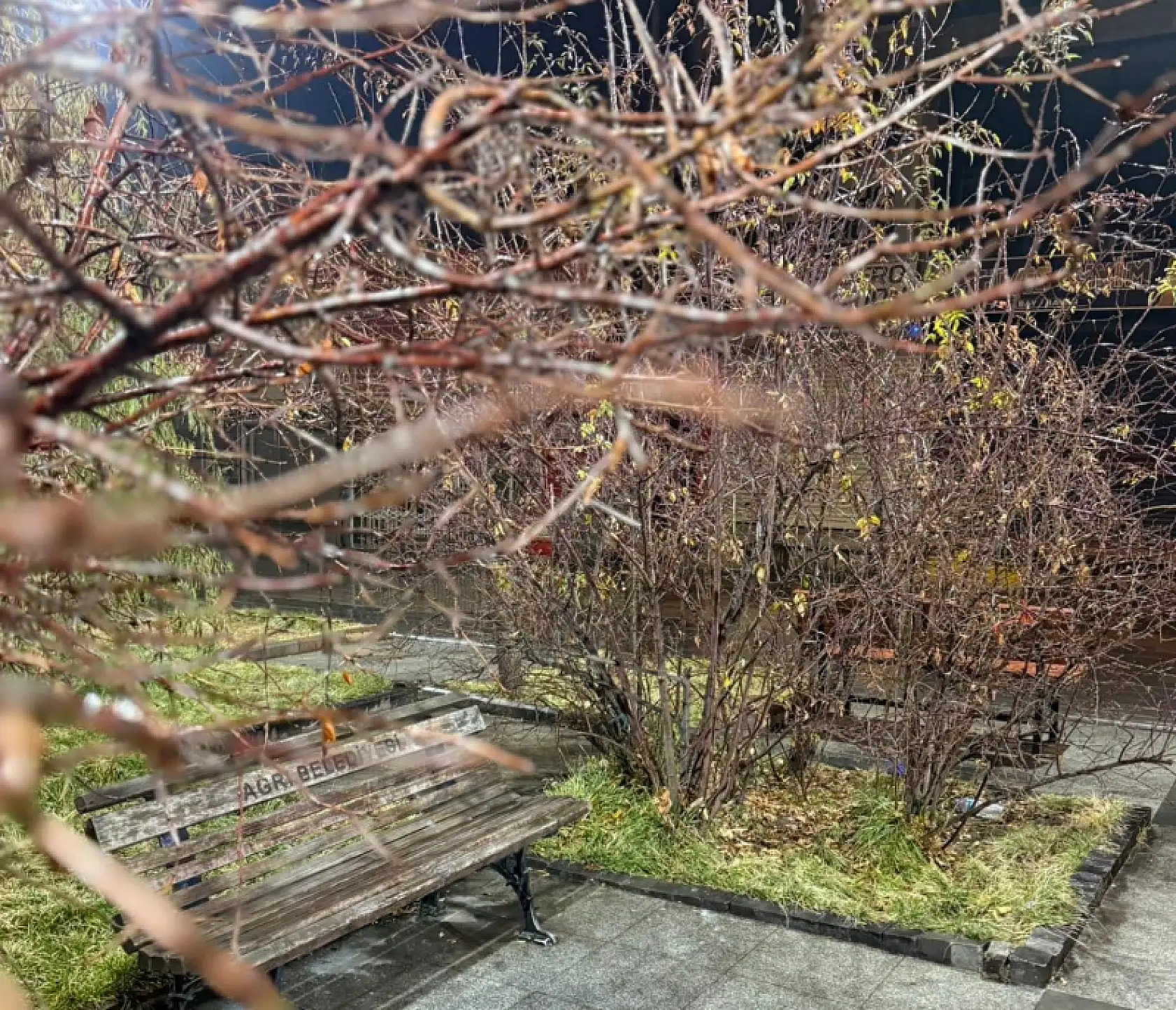 Ağrı'da yağmur, Tahir Elçi Meydanı'nda güzel görüntüler oluşturdu