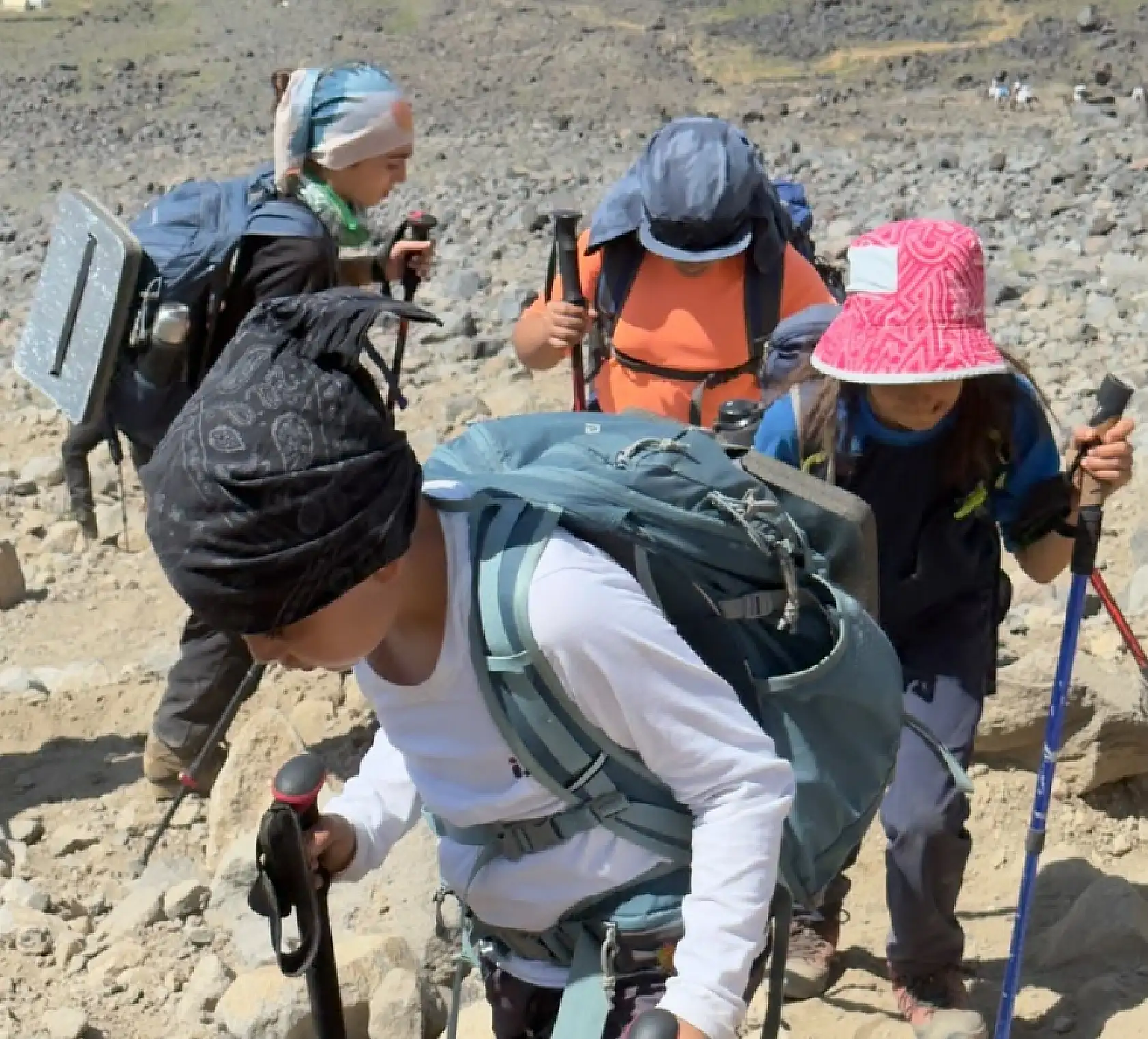 11 Ermeni çocuk Ağrı'da zirve yolunda