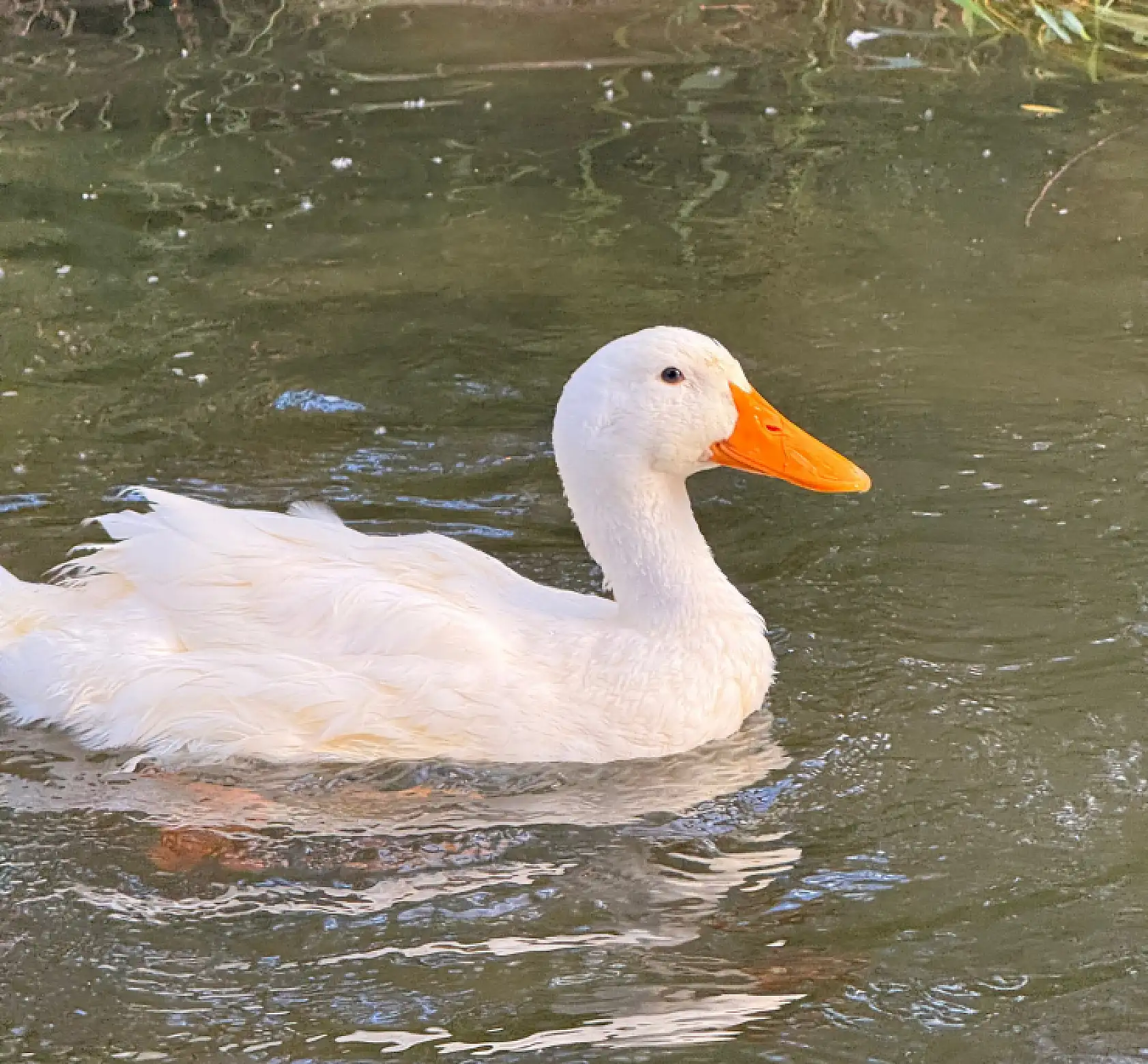 Ağrı'da hafta sonunda vatandaşların tercihi açık hava mekanları oldu