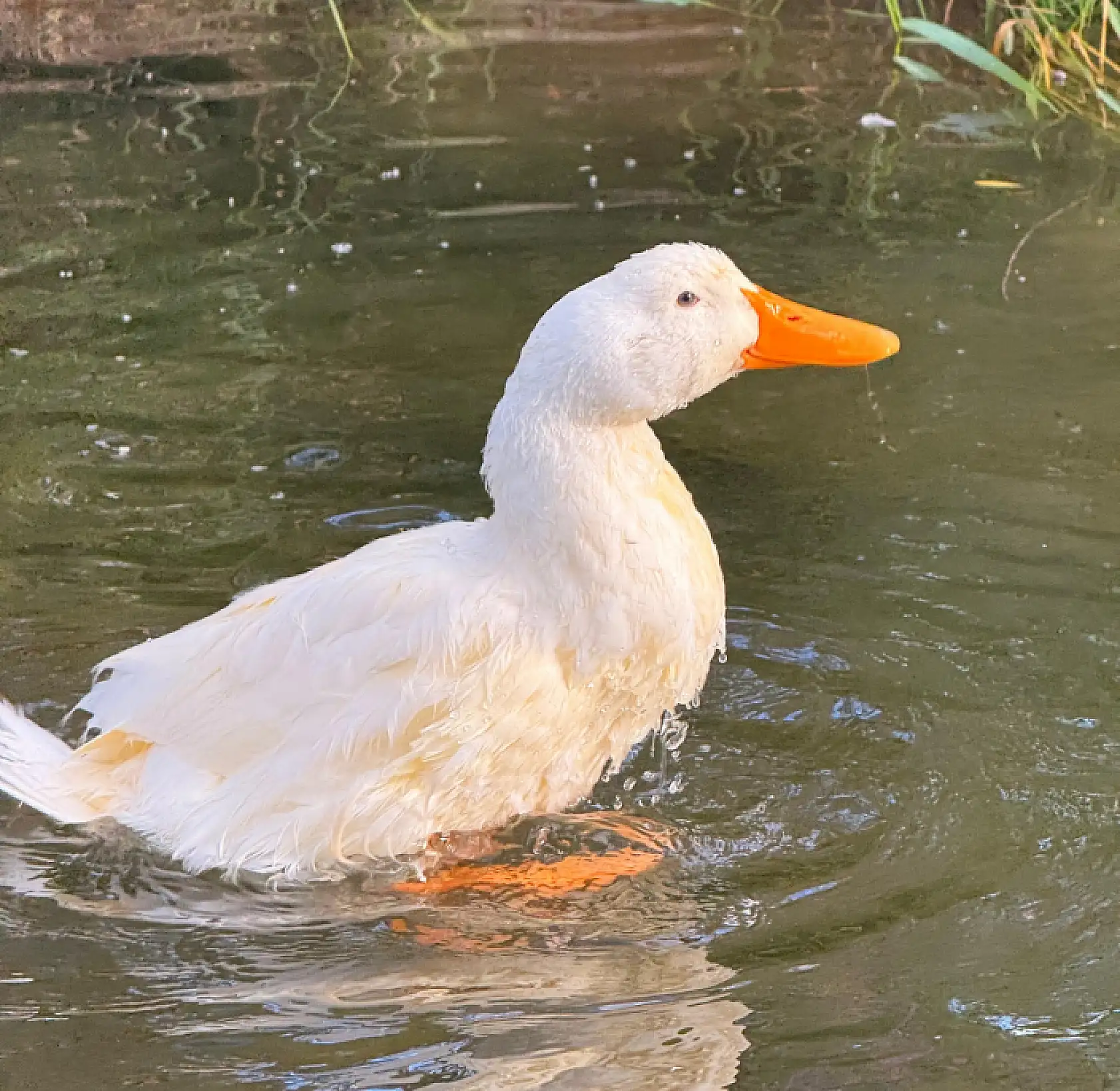 Ağrı'da hafta sonunda vatandaşların tercihi açık hava mekanları oldu