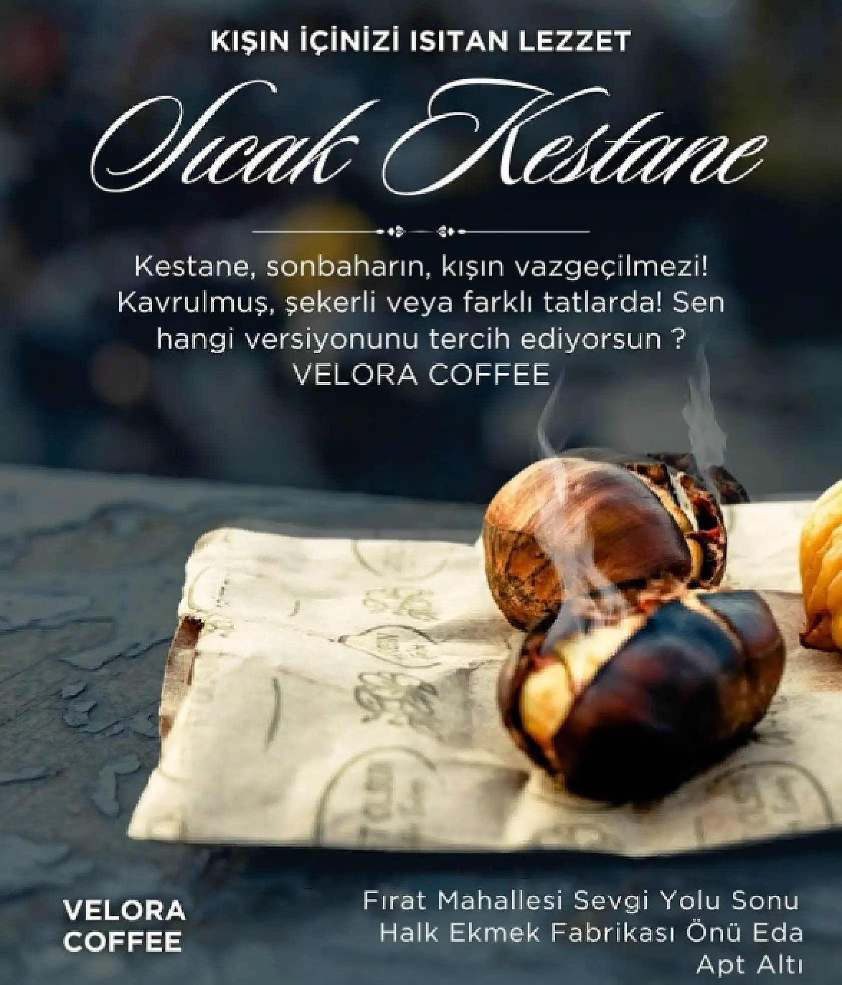 Kadınlar ve gençlerin sosyal katılımını destekleyen kafe Ağrı'da ilgi gördü