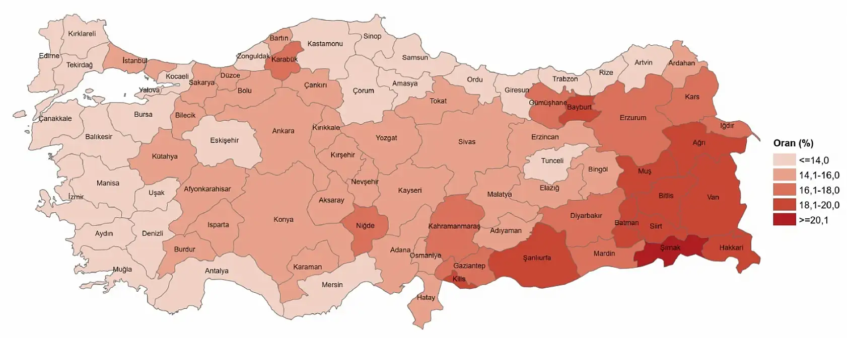 Ağrı, genç nüfus oranıyla Türkiye'yi geçti