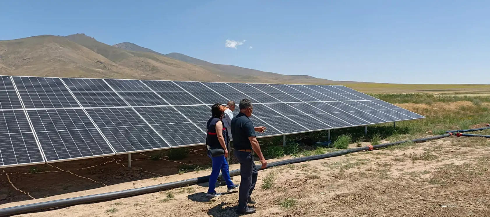 Doğubayazıt'ta çiftçilere meyve çekirdeğiyle ağaçlandırma çağrısı