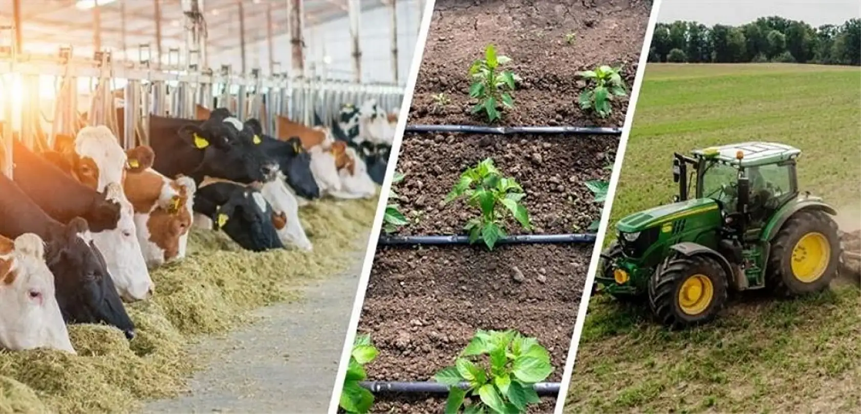Bekâra 2, Evliye 3 Asgari Ücret Desteği! Genç Çiftçilere Maaş ve Çiftlik Fırsatı