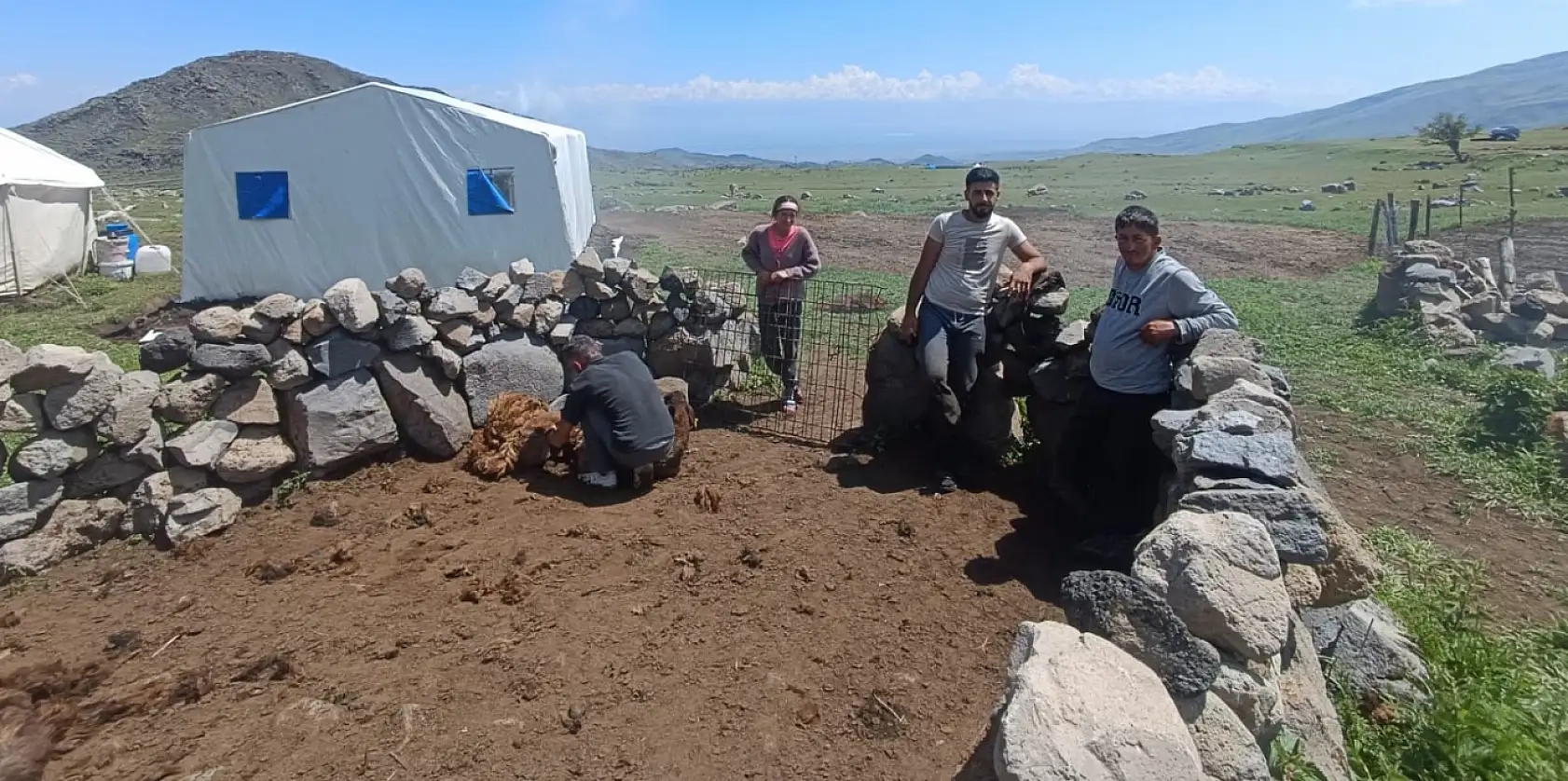 Ağrı Dağı yaylalarında koyun kırkma mesaisi başladı