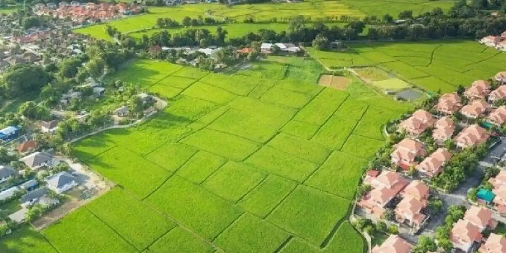 Tarım Arazisi Olanlar Dikkat! Hisseli Tapu ile Yapılan Bu Satışlar Geçersiz Sayılacak