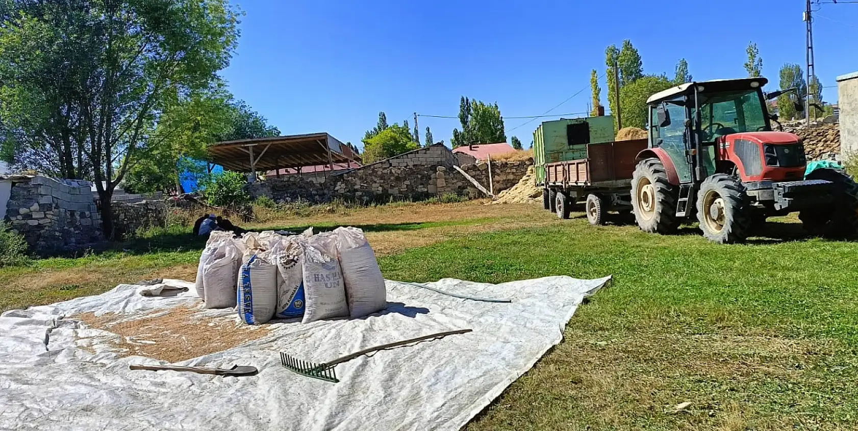 Ağrı'da çiftçinin gelecek yıl umudu torbalarda saklanıyor