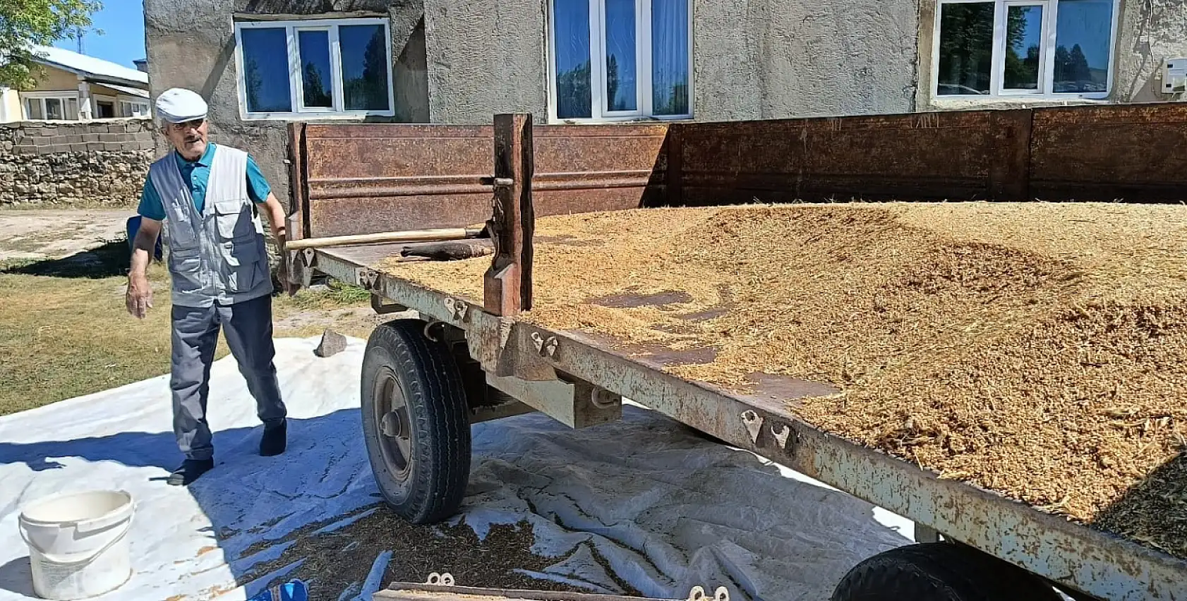 Ağrı'da çiftçinin gelecek yıl umudu torbalarda saklanıyor