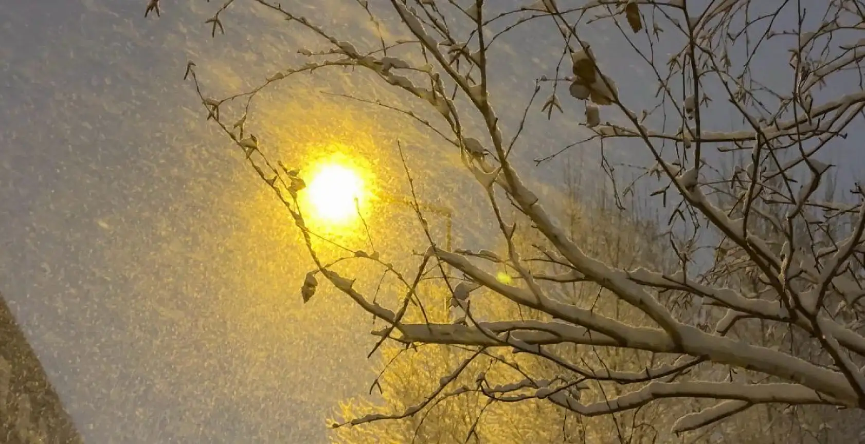 Kar yağışı Ağrı'yı etkisi altına aldı