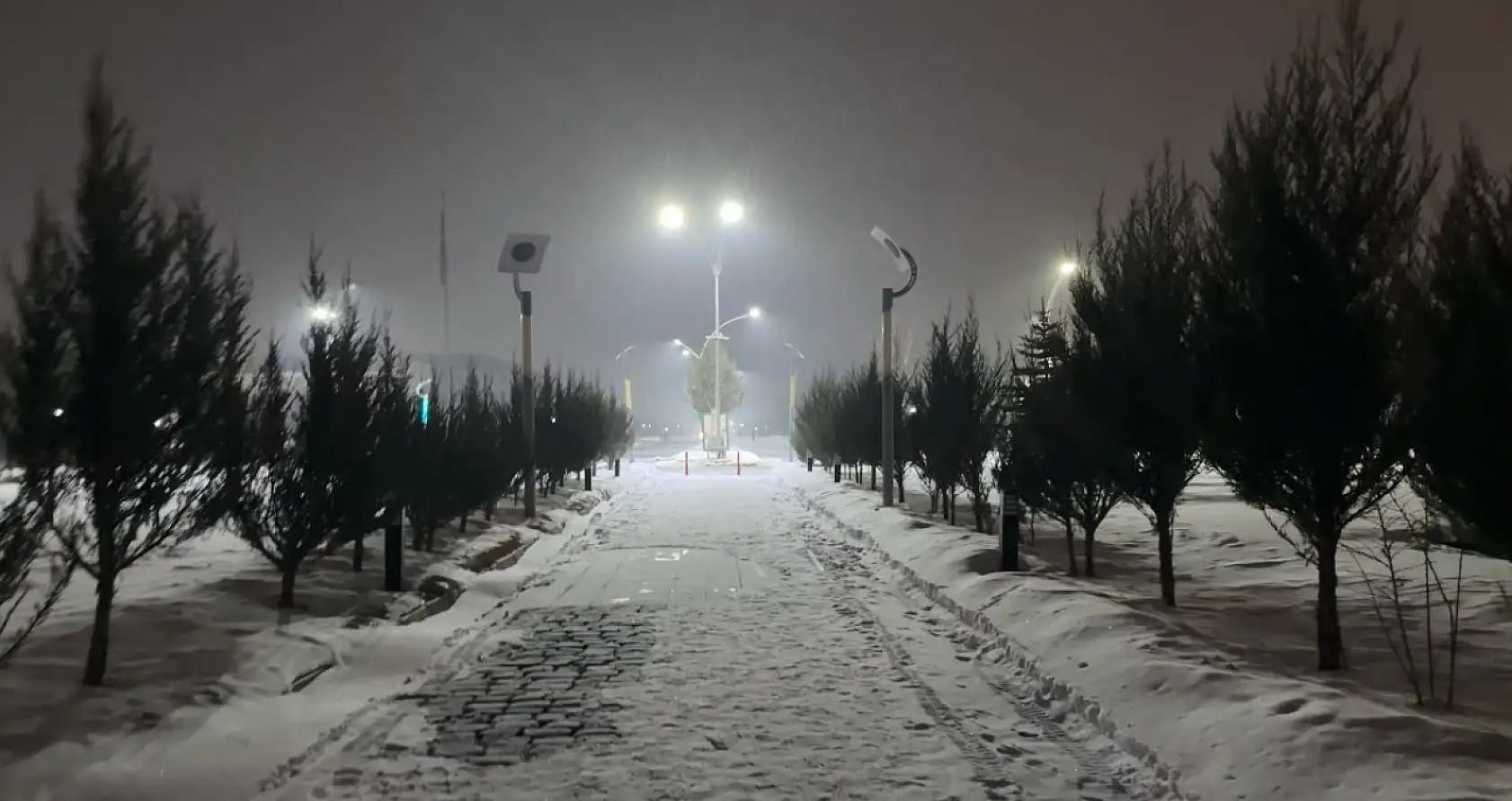 Ağrı'da bahar umutları yerini kar manzaralarına bıraktı