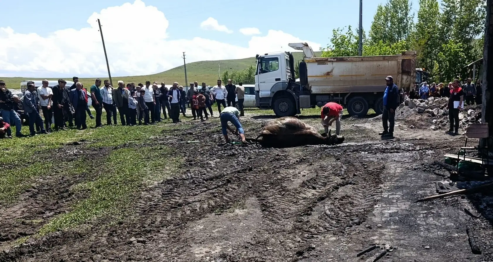 Ağrı'da yangında telef olan 30 büyükbaş hayvan toprağa gömüldü