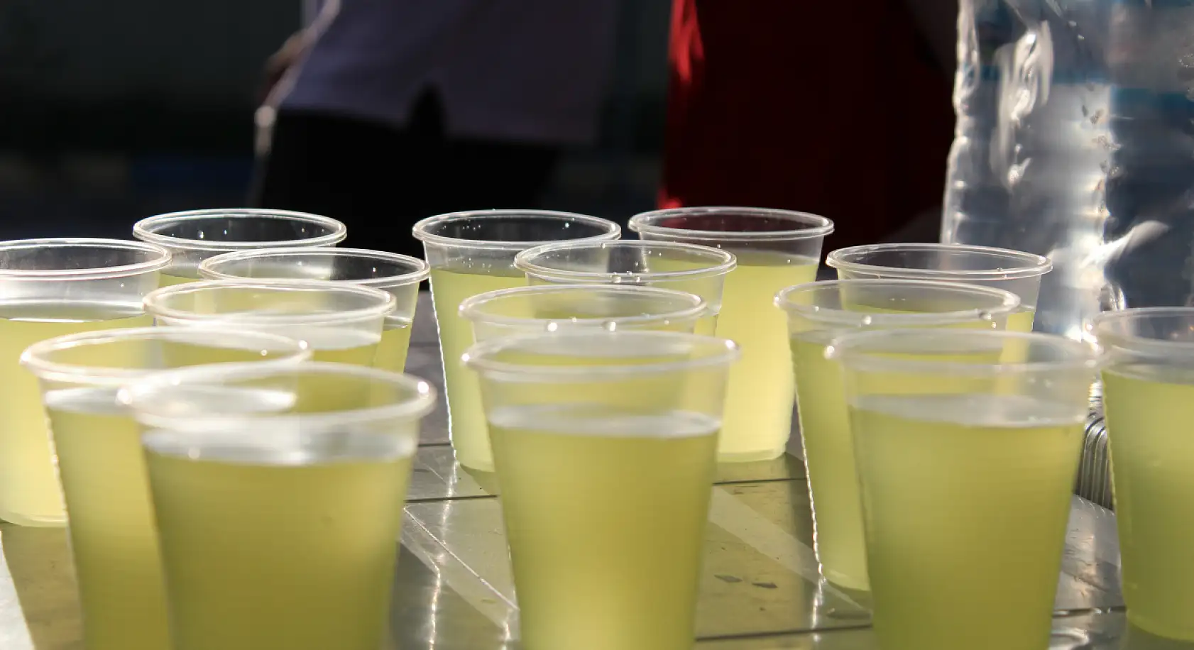 Kızılay, Ağrı'da Zafer Bayramı etkinliğine tat kattı