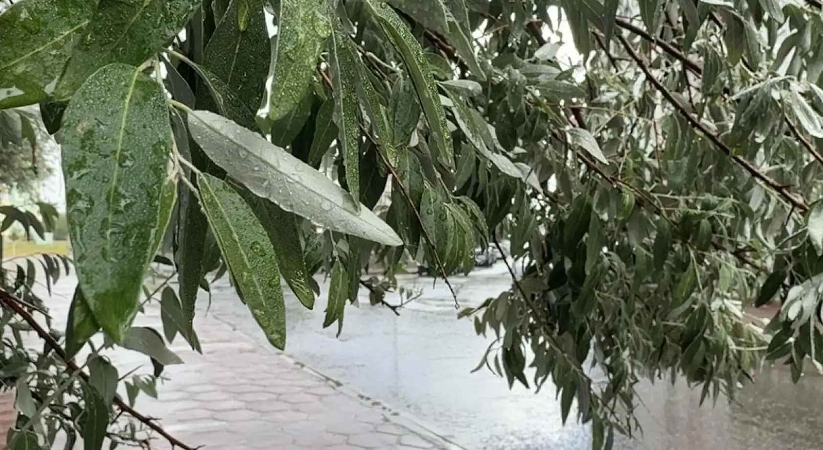 Ani bastıran yağmur Ağrı'ya kısa süreli ferahlık getirdi