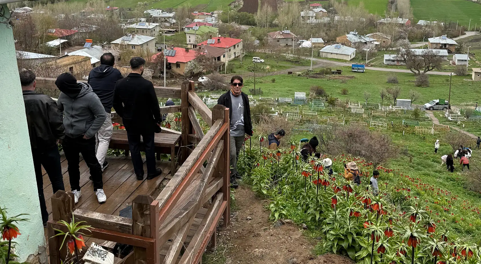 Doğubayazıtlı doğaseverler ters laleler için Gevaş'a gitti