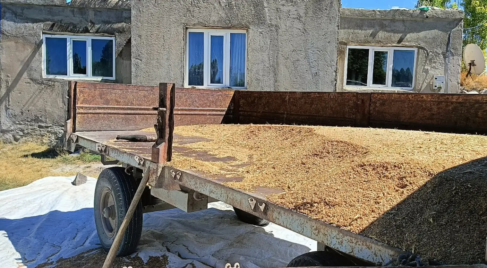 Ağrı'da çiftçinin gelecek yıl umudu torbalarda saklanıyor